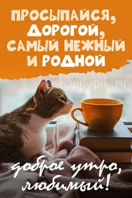 Видео «С добрым утром, любимая» создать онлайн на Slide-life.ru