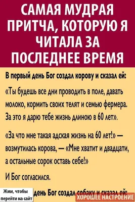 Подарили хорошее настроение - Новости - Сетевое издание znamia-leninsk  (Знамя-Ленинск)