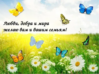 В этот день дарю тебе хорошее настроение и бочонок мёда! — Скачайте на  Davno.ru