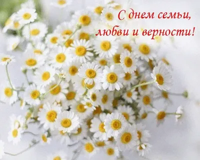 Поздравляю с Днем семьи, любви и верности! - Скачайте на Davno.ru