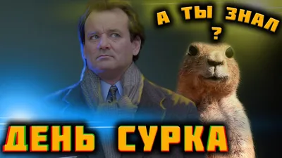Кружка подарок Милая капибара животные прикол рисунок мемы — купить в  интернет-магазине по низкой цене на Яндекс Маркете