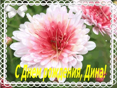 Поздравить с днём рождения картинкой со словами Дину - С любовью,  Mine-Chips.ru