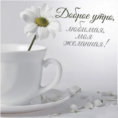🌞С добрым утром ! От души всем добра !!!🌈😊🌞 | ВКонтакте