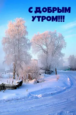 Красивые открытки с пожеланиями доброго зимнего настроения - подборка (20  фото)