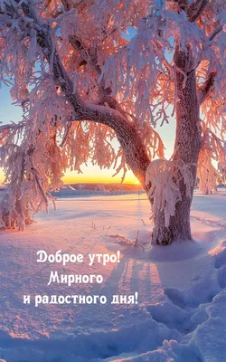Зимние картинки \"С Добрым Утром!\" (502 шт.)