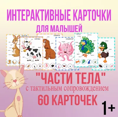 📌ИНТЕРАКТИВНЫЕ ИГРЫ для детей дошкольного возраста | \"СУНДУЧОК\" для  воспитателей и родителей | ВКонтакте