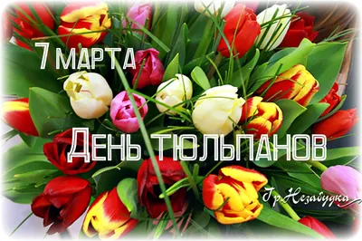 Православные отмечают 7 марта день обретения мощей блаженной Матроны  Московской - 06.03.2023, Sputnik Южная Осетия
