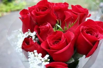 Букет из 15 импортных, алых роз \"Для любимой\" купить в Краснодаре на 14  февраля ✓ Лаборатория праздника Holiday