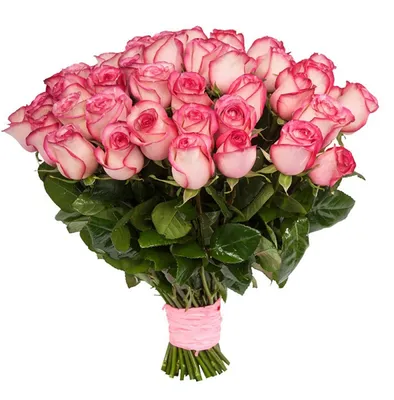 Купить букет роз любимой на день всех влюбленных в Томске