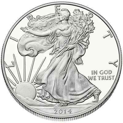 Buy 1 Troy Pound Cast-Poured Silver Round - 9Fine Mint | APMEX