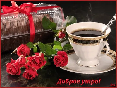 Розовые Macaron, Macaroon и чашка кофе Романтичное утро Взгляд сверху  Десерт, подарок, присутствующий для любимого Стоковое Фото - изображение  насчитывающей хорошо, карточка: 112520992