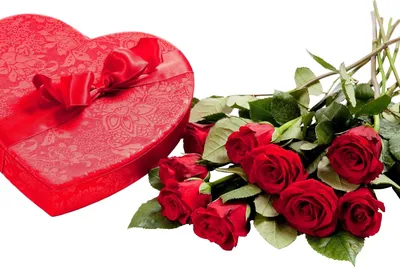 Роза для любимой женщины стоковое изображение. изображение насчитывающей  цветки - 109541855