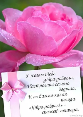 Оля! Доброе утро! Красивая открытка для Оли! Открытка с чаем и розами.  Блестящая открытка.