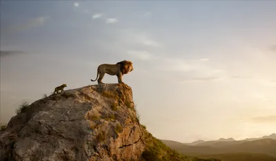 Король Лев (2019) - Рождение Симбы - YouTube