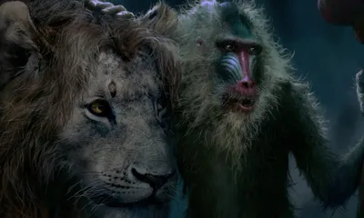 Все кадры из мультфильма \"Король Лев (The Lion King) (1994)\"