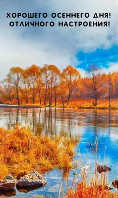 Картинки \"Хорошего осеннего дня!\" (155 шт.) | Пейзажи, Осенний пейзаж,  Живописные пейзажи