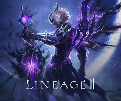 Download wallpaper night, darkness, power, magic, the game, people, sword,  lineage 2, section games in resolution 960x800