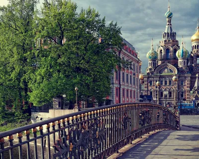 Обои для рабочего стола Санкт-Петербург Lomonosov Bridge Зима Мосты