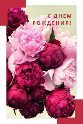 Купить Яркий букет пионов с эвкалиптом с доставкой по Томску: цена, фото,  отзывы.