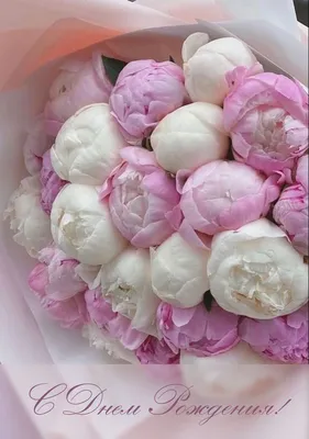 Купить букет из розовых пионов в шляпной коробке недорого в Казани