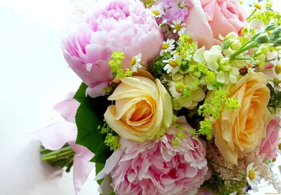 С Днём рождения, розовые пионы — Открытки к празднику