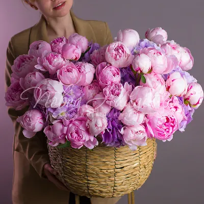 Картинки с днем рождения женщине красивые цветы пионы (66 фото) » Картинки  и статусы про окружающий мир вокруг