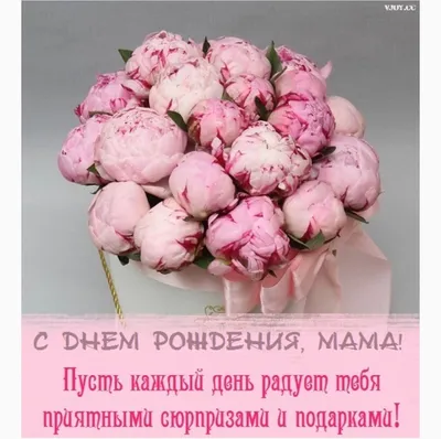 25 нежных пионов в сердце за 28 890 руб. | Бесплатная доставка цветов по  Москве