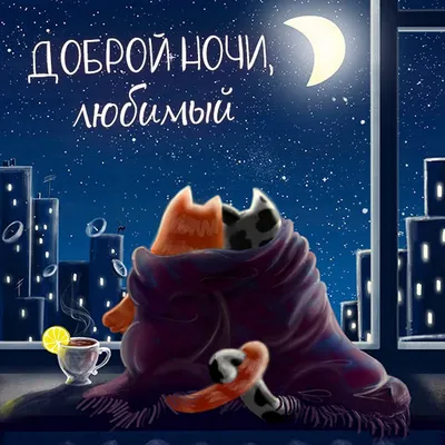 Спокойной ночи любимая видео — Slide-Life.ru