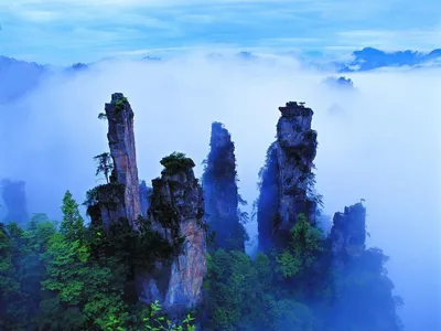 Чжанцзяцзе (национальный лесной парк) — Википедия