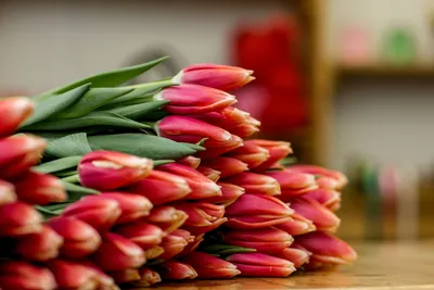 Какие цветы подарить жене на 8 Марта | Сколько цветов подарить на 8 Марта  жене