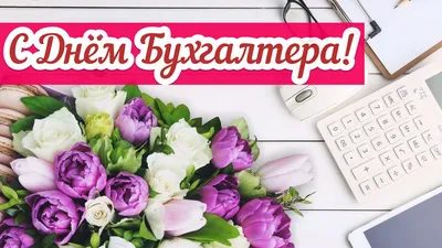 21 ноября — День бухгалтера - Лента новостей Севастополя
