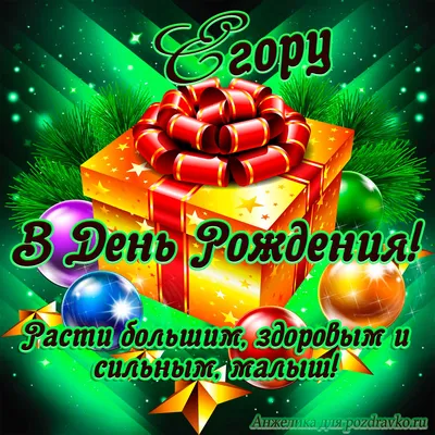 Набор \"С Днём Рождения, Егор\" воздушные шары с именем. - купить в  интернет-магазине OZON с доставкой по России (542817697)