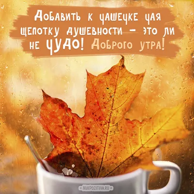 С добрым осенним утром 🍁 | Доброе утро, Осень, Цитаты для поднятия  настроения