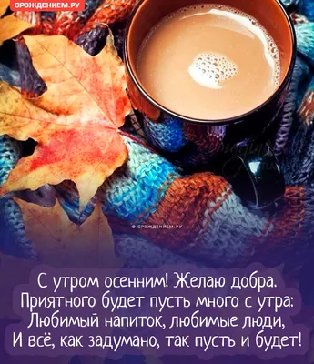 Пин от пользователя Stepanidasidorova на доске Осень, Доброе утро | Осенние  картинки, Осенний пейзаж, Пейзажи