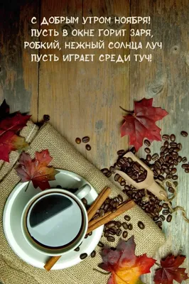 С Добрым Утром Ноября☕️ Капучино для вас🦊 #оленегорск #ресторандрова  #ноябрь | Instagram