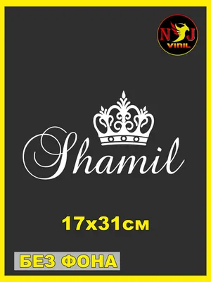 Наклейка надпись на авто - Шамиль - купить по выгодным ценам в  интернет-магазине OZON (1034998177)