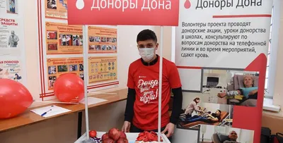В Краснодаре из-за рабочей субботы сократилось количество ярмарок выходного  дня :: Krd.ru