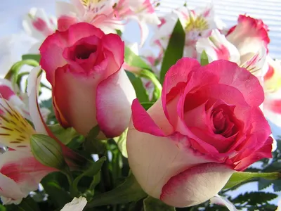Букет цветов – лучший подарок любимой женщине - IslamNews