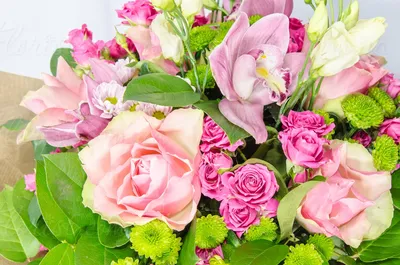 Букет из 101 розы, или Композиция в шляпной коробке — какие цветы подарить  даме на 8 Марта (ФОТО) — Новости Хабаровска