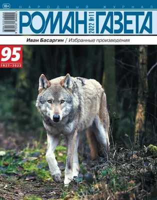 Волк вожак (68 фото) - красивые фото и картинки pofoto.club