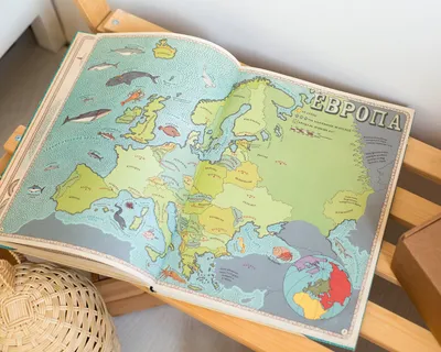 Карты. Путешествие в картинках по континентам, морям и культурам мира |  Guess how much I love books? | Дзен