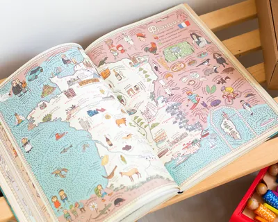 Карты. Путешествие в картинках по континентам, морям и культурам мира |  Guess how much I love books? | Дзен