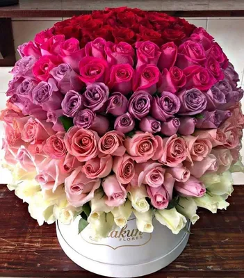 Красивый букет роз на день рождения галине (23 лучших фото)