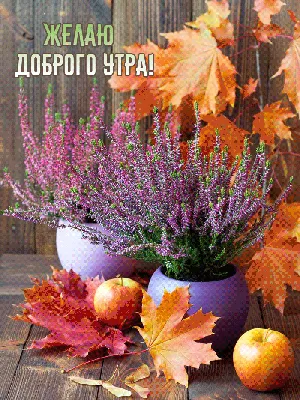 Осенние картинки с добрым утром — красивые открытки с пожеланиями | Поделки  | Постила