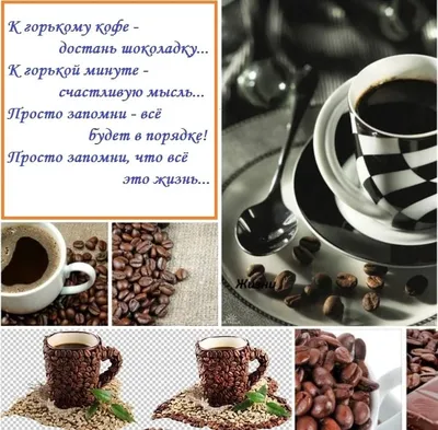 Международный день кофе… 2023, Лаишевский район — дата и место проведения,  программа мероприятия.