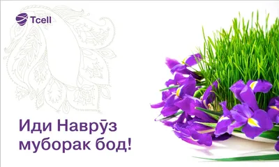 Alisher Mirsadikov on X: \"Navruz bayrami muborak bosin. #NavrUz #navruz  #21mart #uzbekistan https://t.co/ojEhAfQMcI\" / X