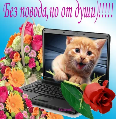 Мини-открытки «Дякую!» 6x8 см в Украине: описание, цена - заказать на сайте  Bibirki