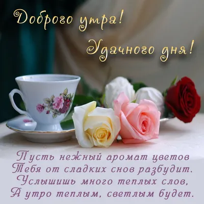 С добрым утром, красивые картинки, пожелания доброго утра, цветы, хорошего  настроения, добрые пожелания, чай, кофе, цветы, утро… | Чайный домик, Дни  рождения, Цветы