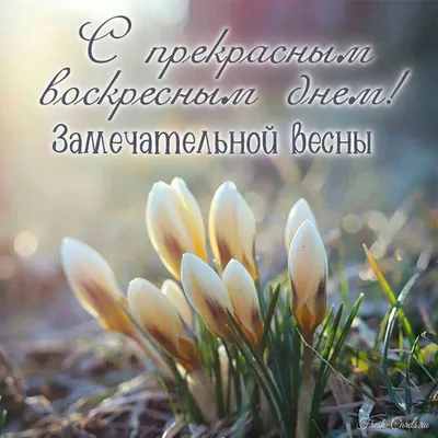 Добрый воскресный день: фотографии, изображения, снимки - snaply.ru