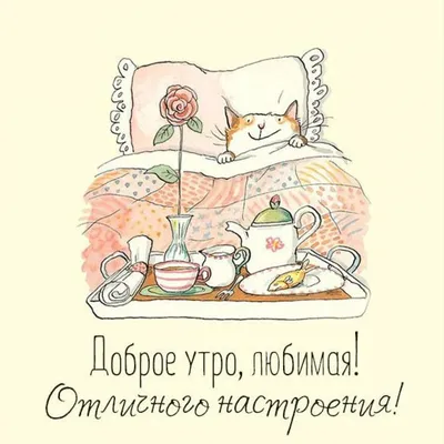Доброе утро любимая — бесплатные картинки | Zamanilka | Доброе утро,  Кошечка, Животные